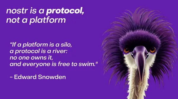 nostr is a protocol, not a platform